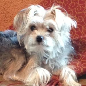 Meet your Posher, Cara